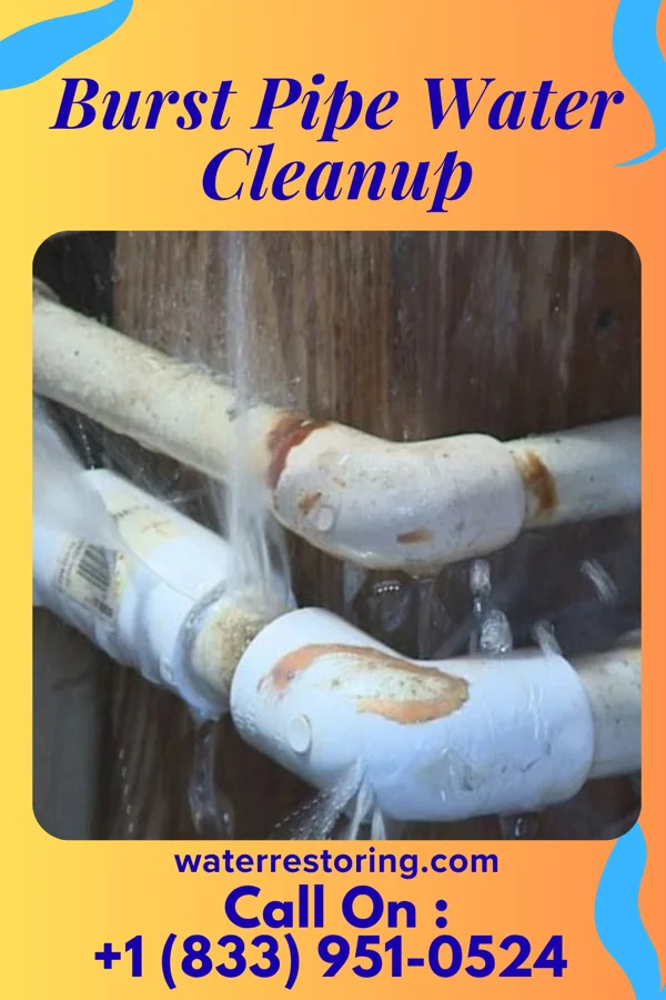 Burst Pipe Water Cleanup in Benton Harbor, MI