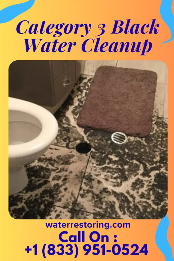 Category 3 Black Water Cleanup in Benton Harbor, MI