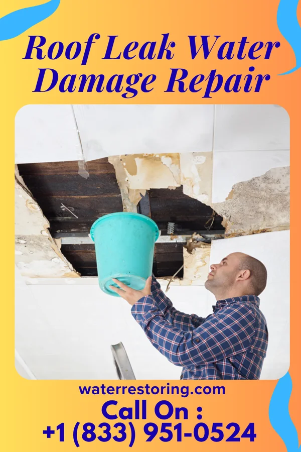 Roof Leak Water Damage Repair in Benton Harbor, MI