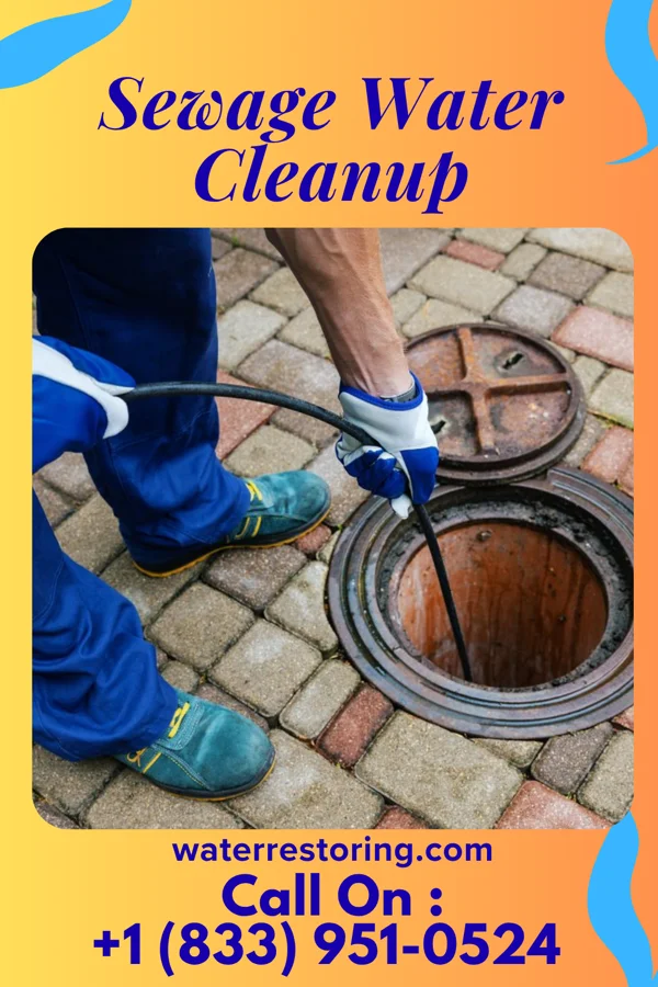 Sewage Water Cleanup in Benton Harbor, MI