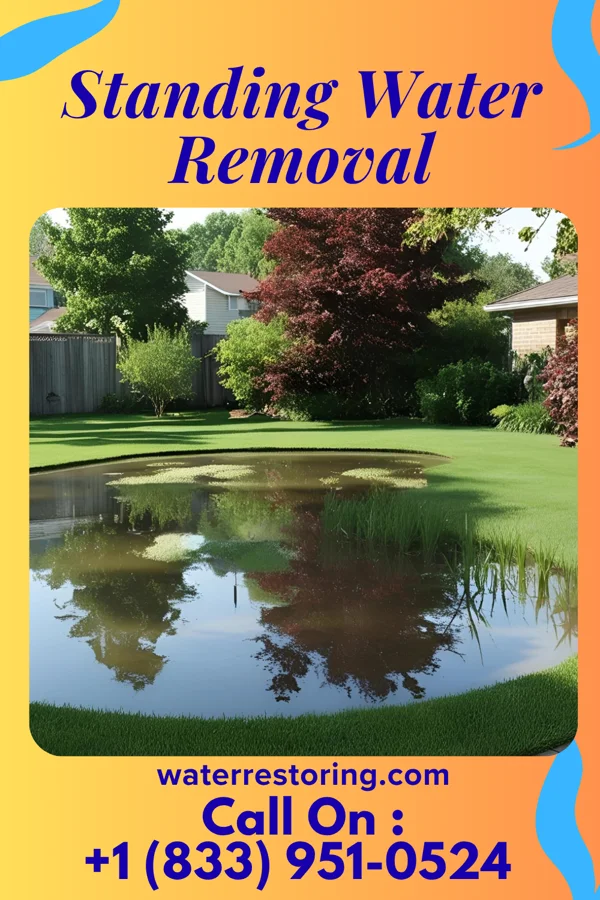 Standing Water Removal in Benton Harbor, MI